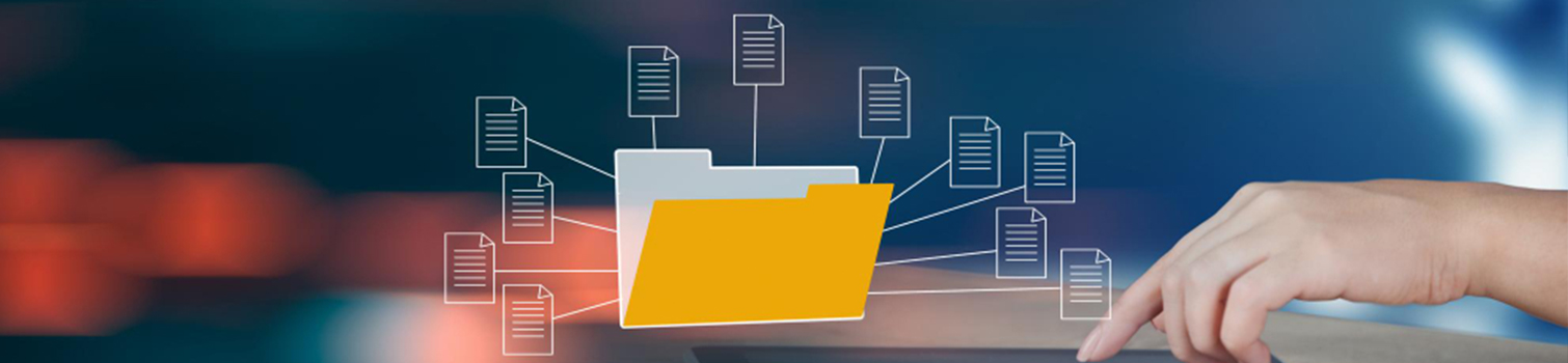 Copy Paste Data Entry